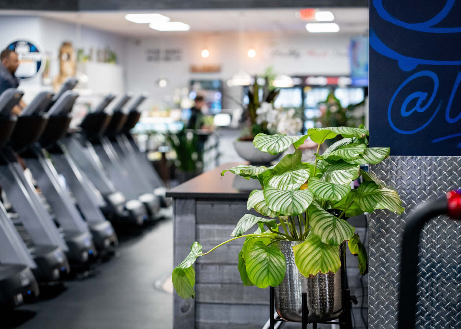 BIOPHILIC DESIGN & ENVIRONMENT